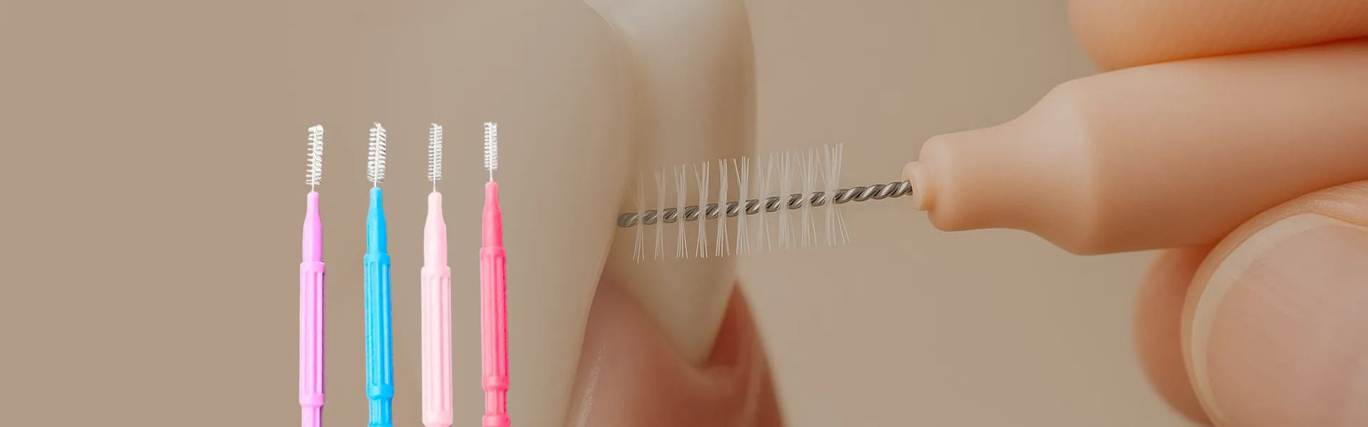 Các sản phẩm